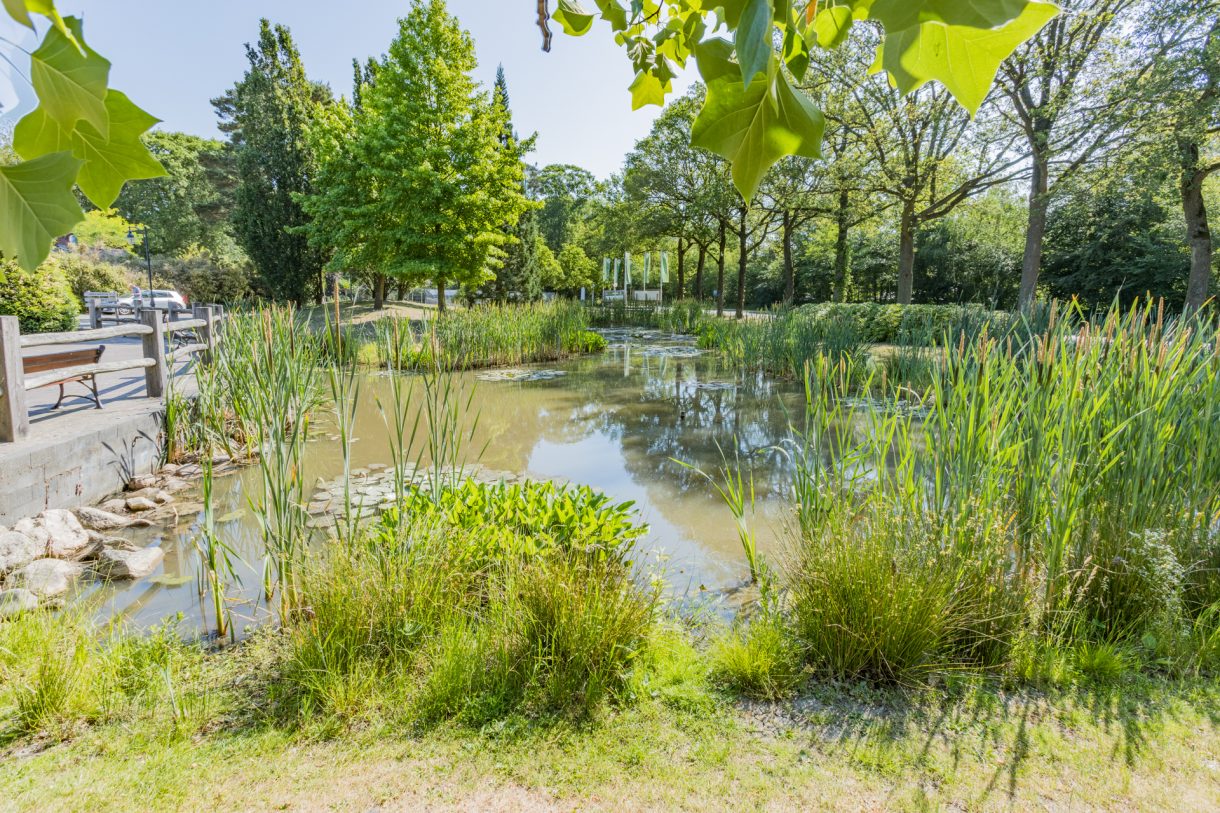Te koop: Foto Woonhuis aan de Oshaarseweg 24-126 in Echten