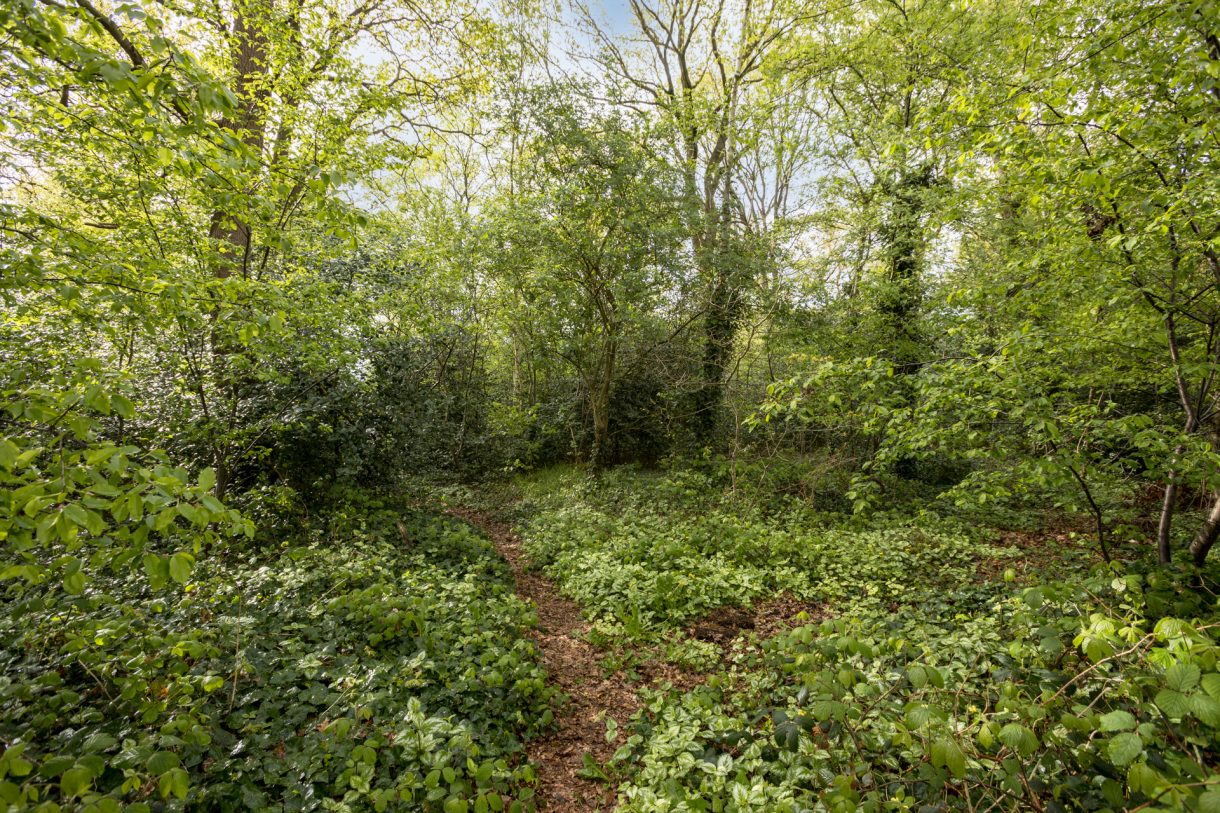 Te koop: Foto Woonhuis aan de Riegheidestraat 59 in Hollandscheveld