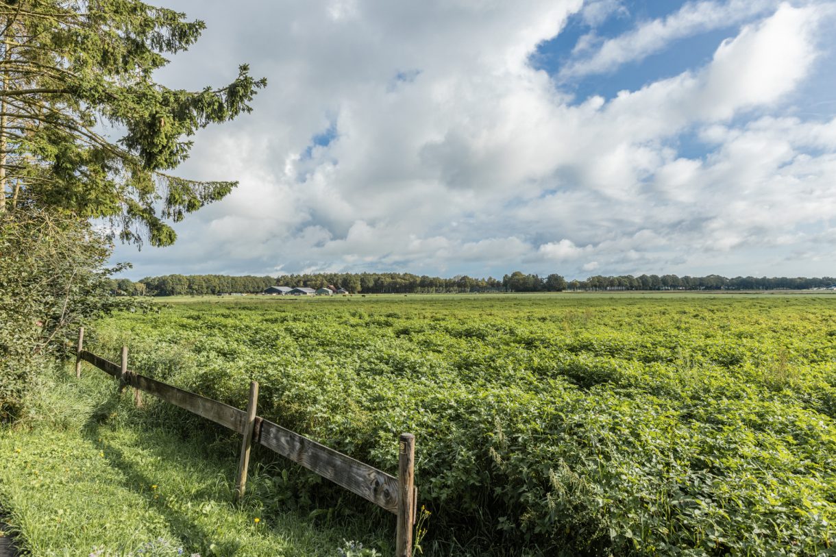 Te koop: Foto Woonhuis aan de Luchiesweg 4 in Geesbrug