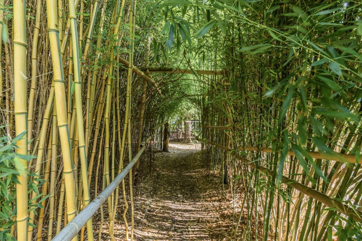 Te koop: Foto Woonhuis aan de Luchiesweg 4 in Geesbrug
