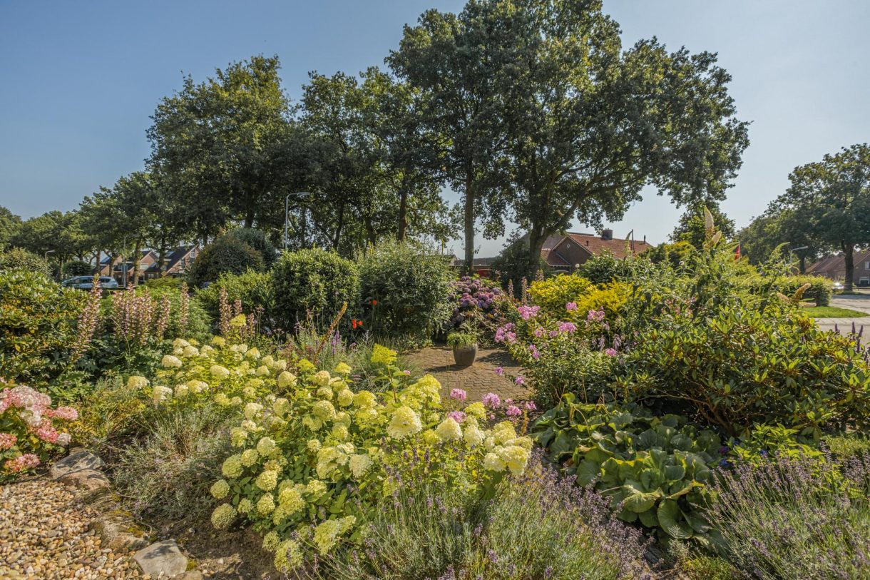 Te koop: Foto Woonhuis aan de Riegshoogtendijk 30 in Hollandscheveld