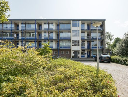 Hoofdfoto van Hoogeveen De Reiger 253