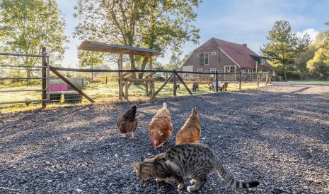 Te koop: Foto Woonhuis aan de Jeulenwijk 3 in Elim