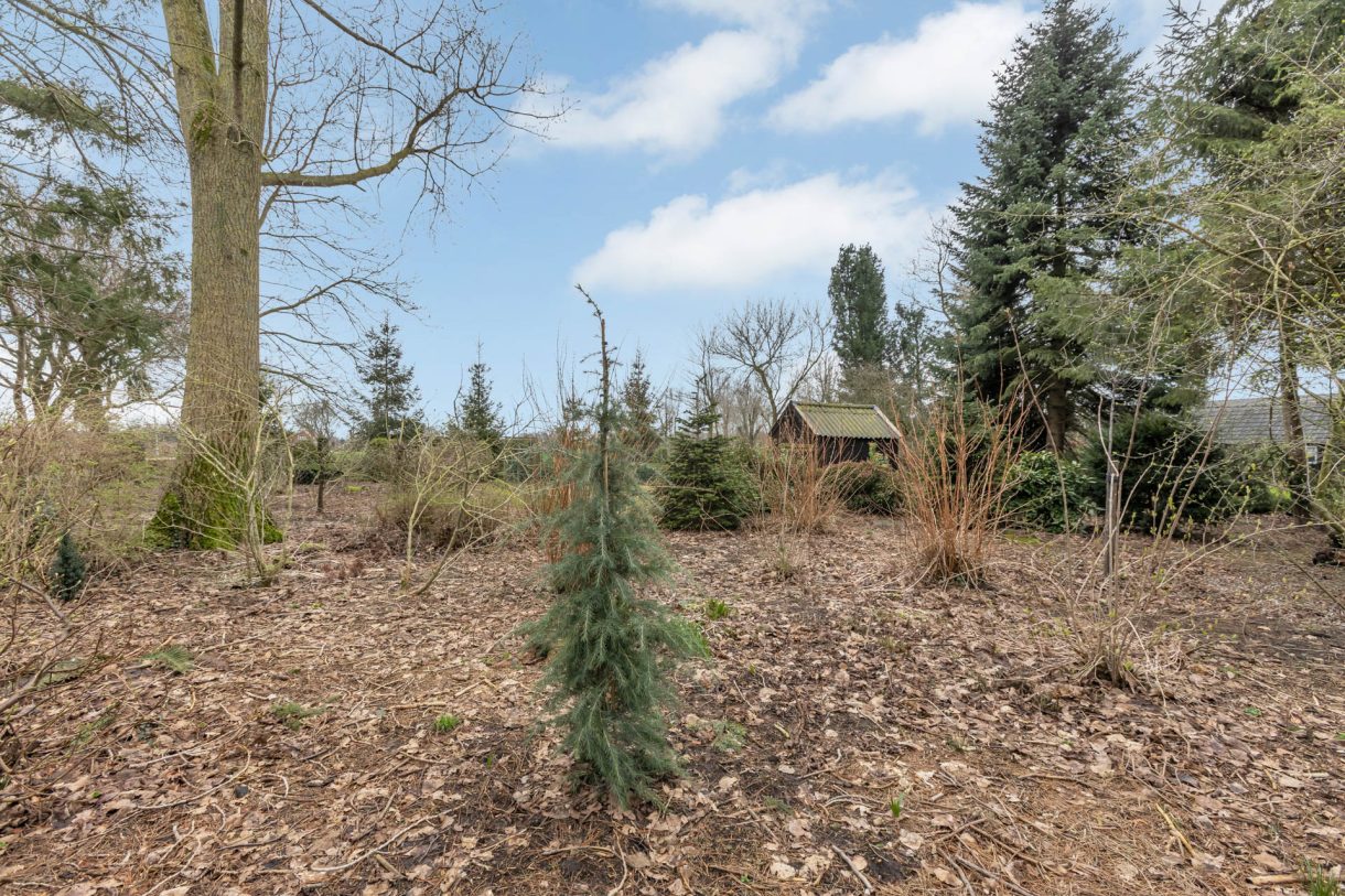 Te koop: Foto Woonhuis aan de Noord 110 in Noordscheschut