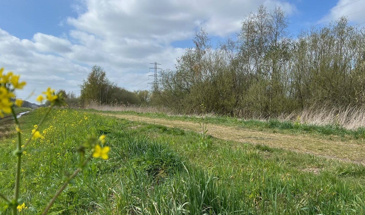 Te koop: Foto Woonhuis aan de Het Lage Holt 10 in Hoogeveen