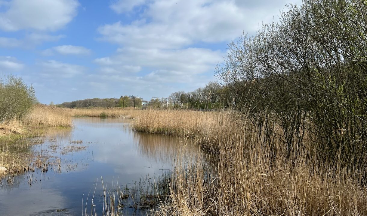 Te koop: Foto Woonhuis aan de Het Lage Holt 10 in Hoogeveen
