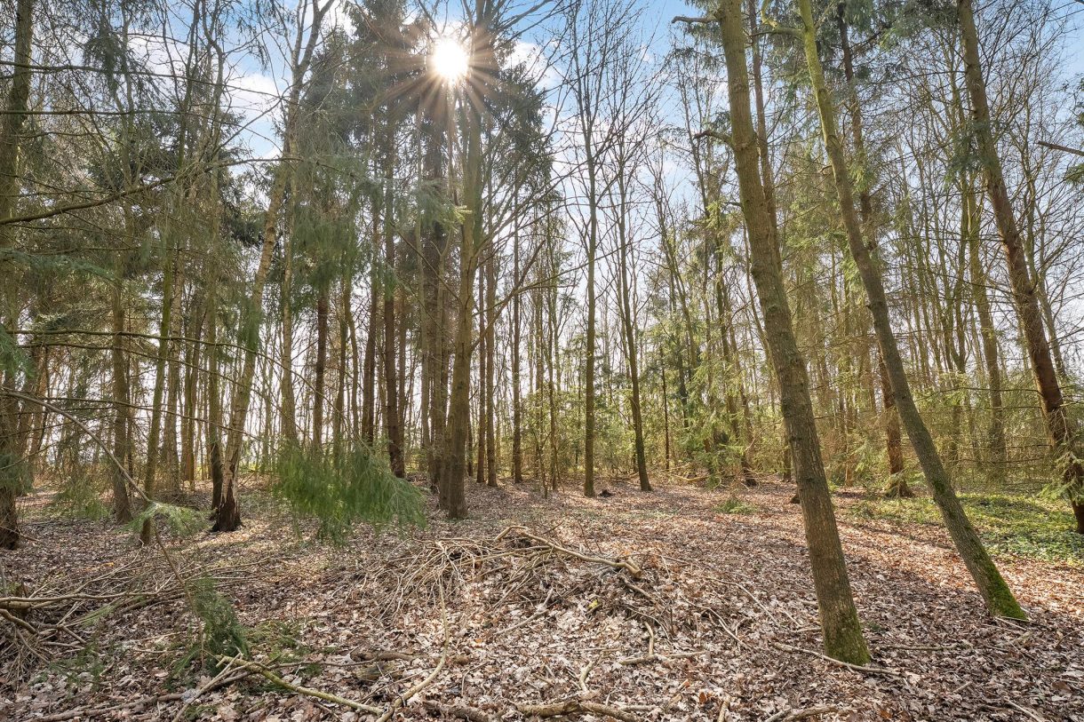 Te koop: Foto Woonhuis aan de Langewijk 2 in Elim