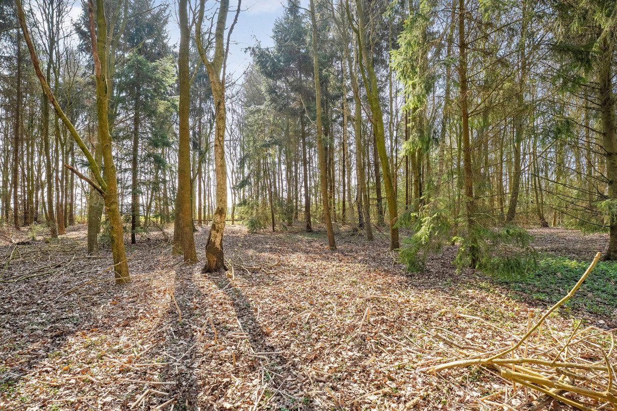 Te koop: Foto Woonhuis aan de Langewijk 2 in Elim