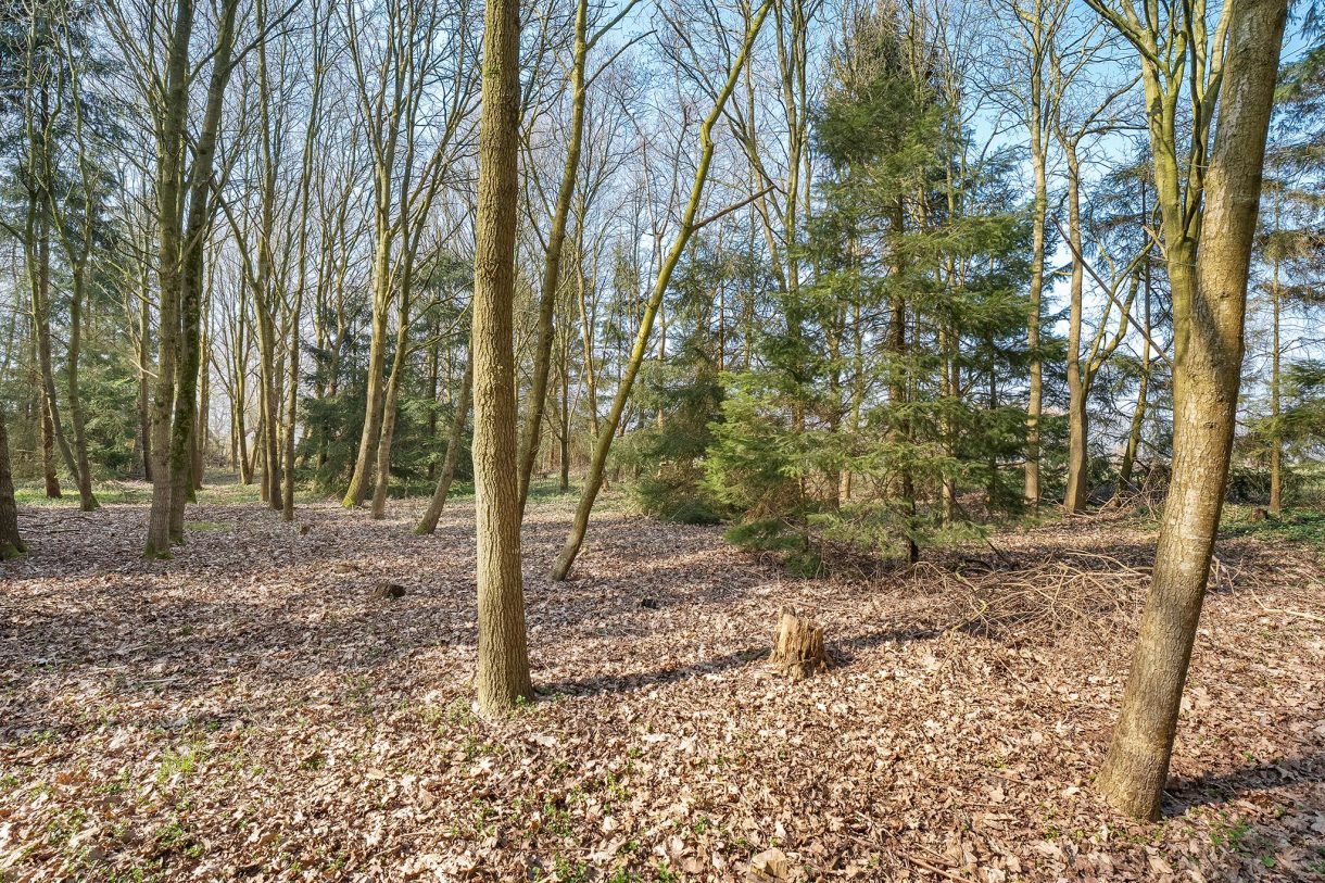 Te koop: Foto Woonhuis aan de Langewijk 2 in Elim