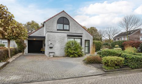 Hoofdfoto van Hoogeveen Witbol 2